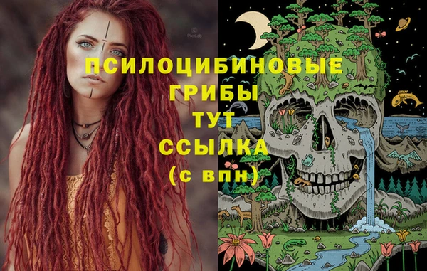 стаф Мегион