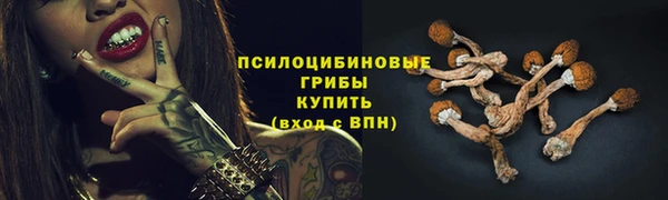 а пвп мука Магас