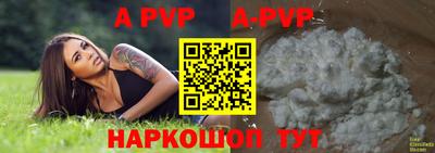 прущие крисы Камышлов