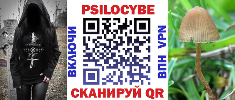 Псилоцибиновые грибы мицелий купить Новодвинск