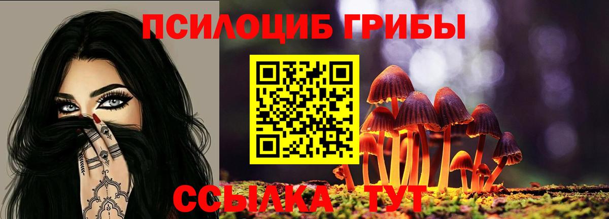 Галлюциногенные грибы ЛСД  Галлюциногенные грибы GOLDEN TEACHER  Вход с VPN  Новодвинск 