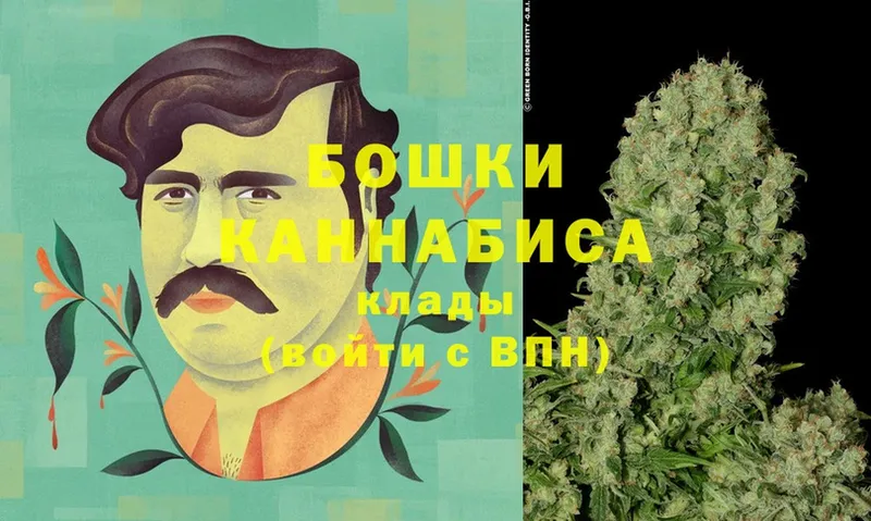 МАРИХУАНА Ganja  Новодвинск 